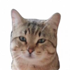 NullPointer