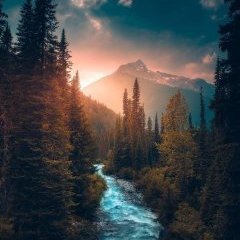 Yura_1994_1