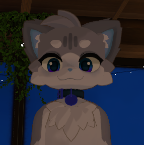 FURRY_CAT_VIKN