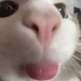 Alyhee